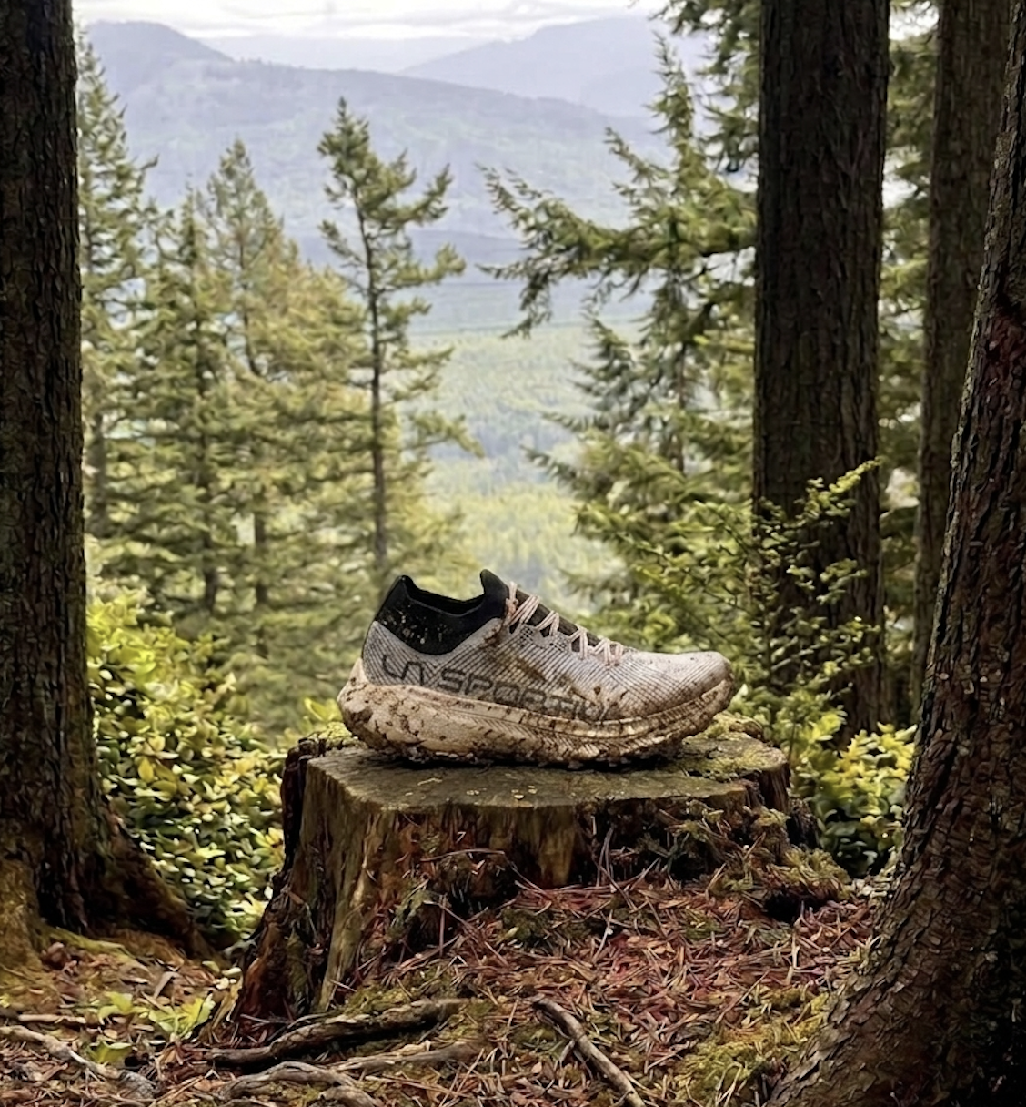 la sportiva prodigio pro
